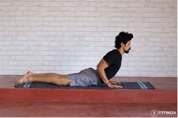 Search for: Bhujangasana: Unlock the Benefits of Cobra Pose.