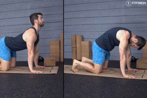 Cat-Cow Pose: Flexibility & Power in One Stretch | FitFine24