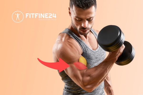 Bicep Curl: The Ultimate Guide to Stronger Arms At Fitfine24