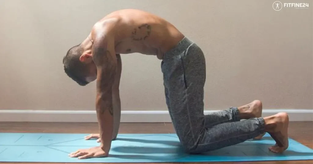 Cat-Cow Pose: Flexibility & Power in One Stretch | FitFine24