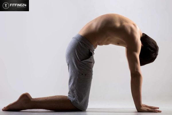 Cat-Cow Pose: Flexibility & Power in One Stretch | FitFine24